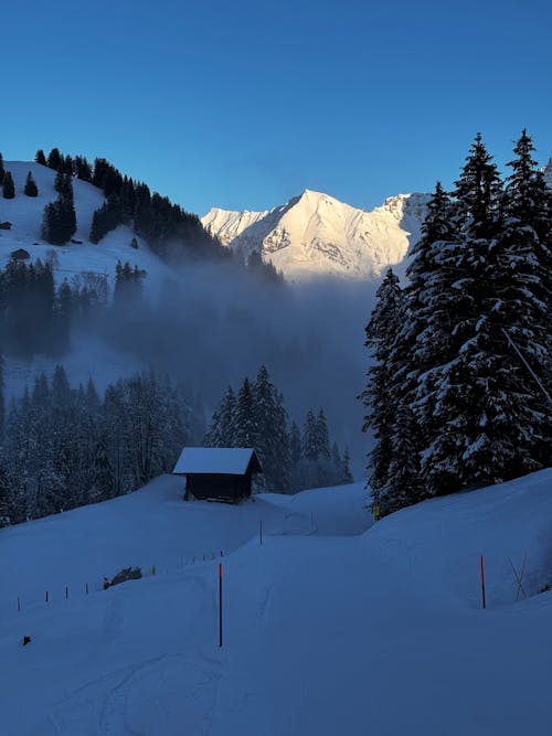 Scenic Landscape of Snowy Valley and Mountains under Blue Sky 