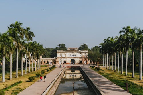 Palm Trees around Pond at Safdarjung Tomb 