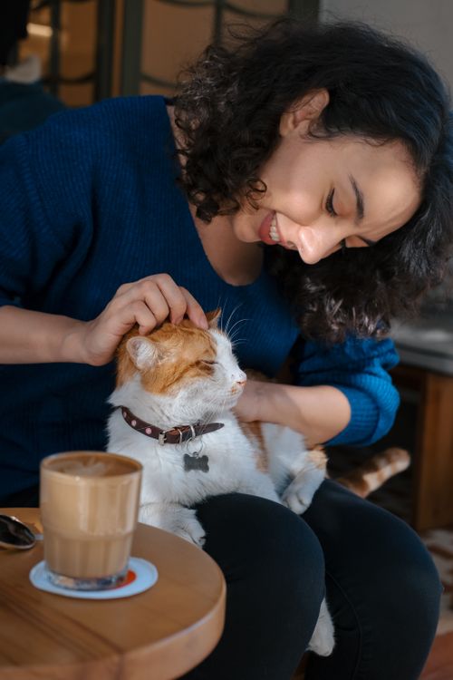 Free A cheerful woman pets her cat while sitting by a coffee table indoors, capturing a cozy moment. Stock Photo