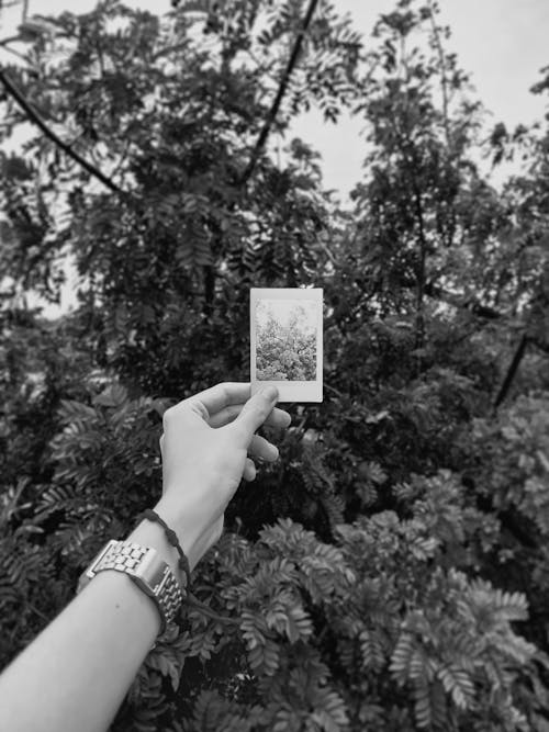 Бесплатное стоковое фото с polaroid, браслет, вертикальный выстрел