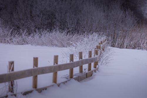 A Wooden Fence on a Snowy Field in the Countryside 