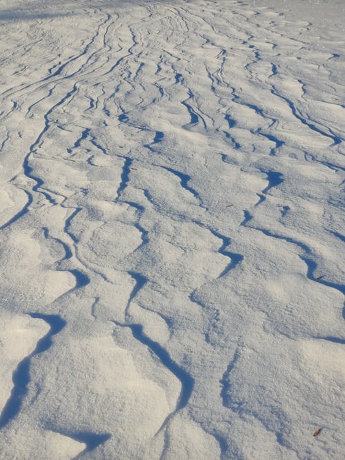 Kostnadsfri bild av lös snö, snö, snö fält