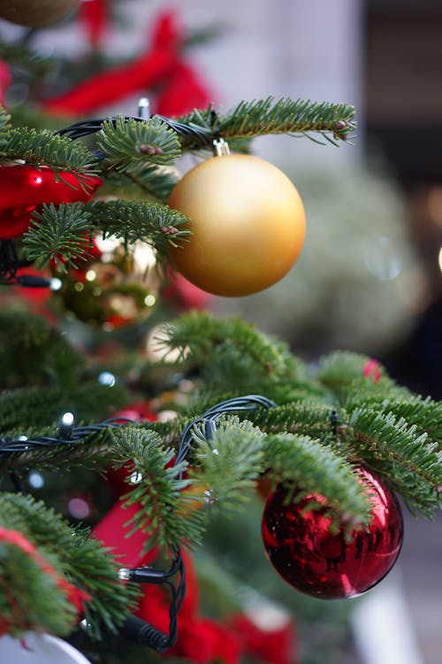 Fotos de stock gratuitas de acículas, árbol de Navidad, bolas de navidad