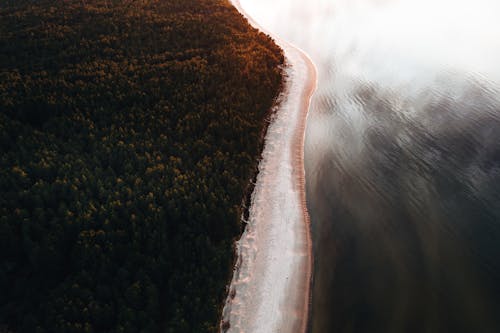 Aerial Photography of a Lake and Forest