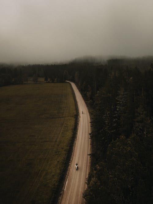 Drone Shot of a Road between a Forest and a Field 