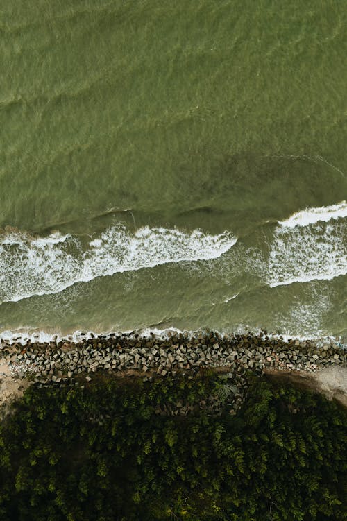 Aerial Photography of a Lake and Forest on the Lakeshore 