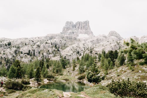 Scenic View of Rocky Mountains and a Lake Surrounded by Trees 