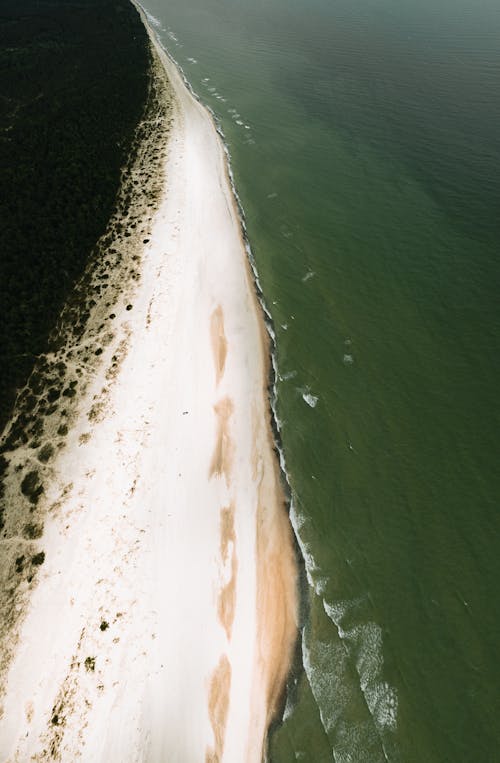 Birds Eye View of a Beach and a Lake