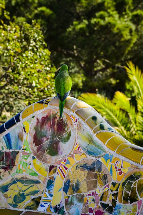 Green Parrot on a Mosaic Bench 