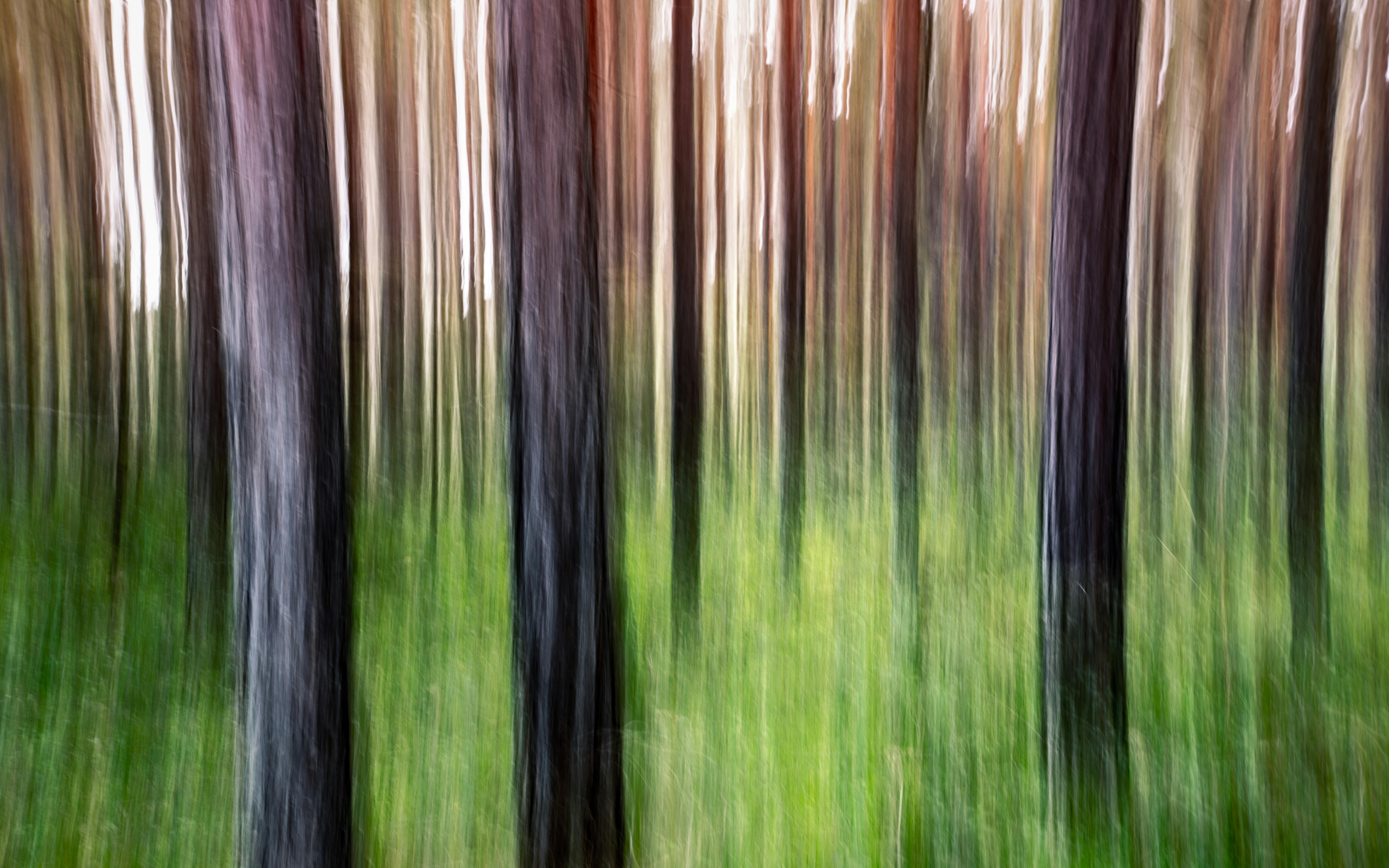 Lsd Visual Photos, Download The BEST Free Lsd Visual Stock Photos & HD ...