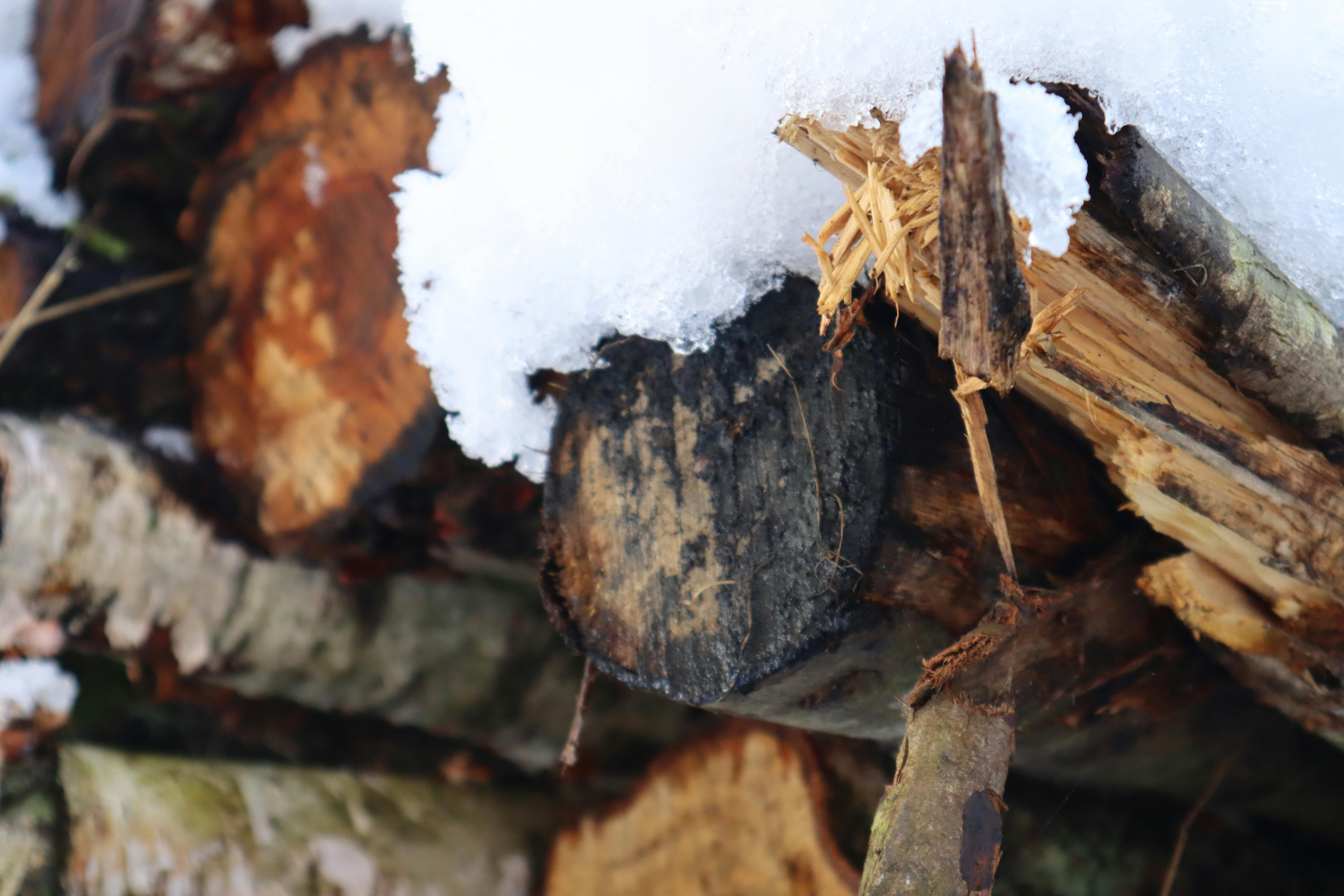 Free stock photo of abstract, log pile, snow