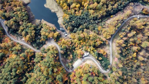 ağaçlar, dolambaçlı yol, drone çekimi içeren Ücretsiz stok fotoğraf