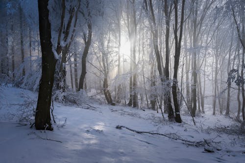 Sunrise Marks The Coldest Part Of The Day Nationwide