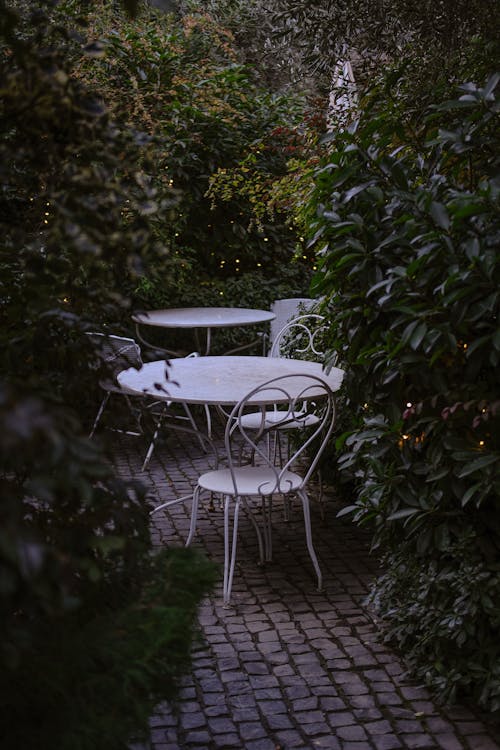 Furniture Among Ivy in a Garden