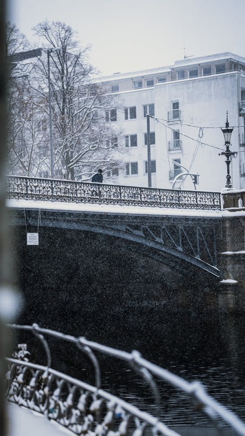 Základová fotografie zdarma na téma alster, hamburk, snowfamily