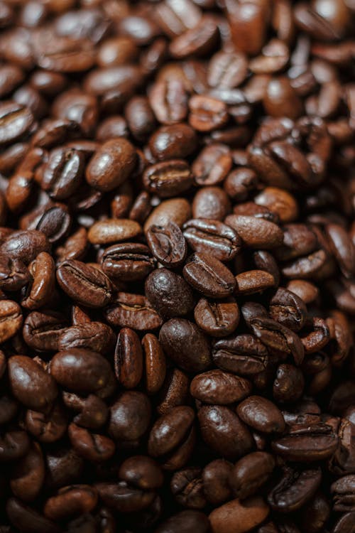 Free Dark Coffee Beans  Stock Photo