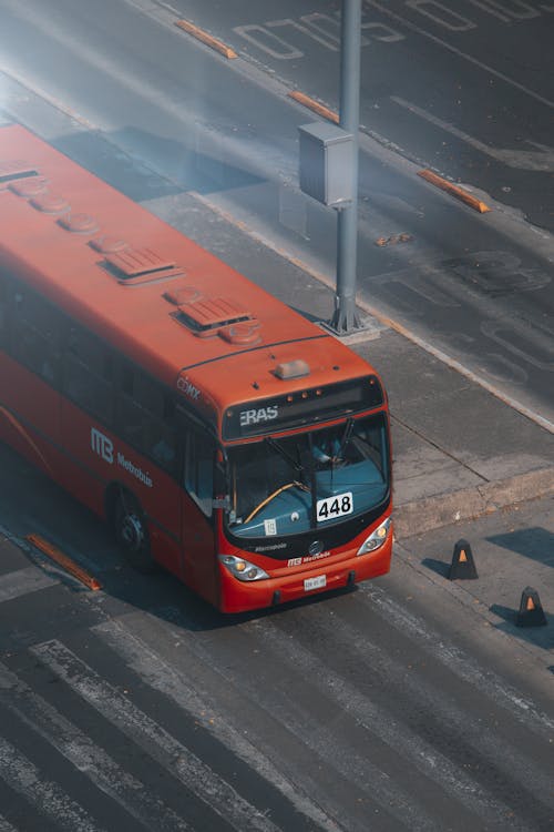 シティ, バス, 公共交通機関の無料の写真素材