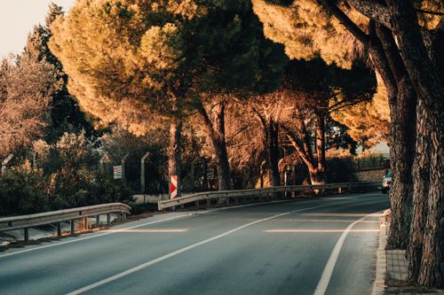 Free Tranquil road surrounded by autumn trees in Urla, Izmir, at golden hour. Perfect for nature and travel themes. Stock Photo