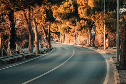 Free Idyllic winding road through autumn trees in Urla, capturing tranquility and scenic beauty. Stock Photo