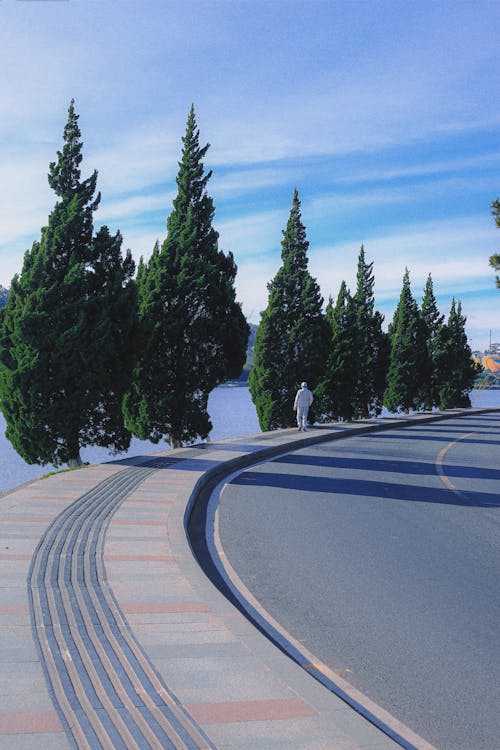 View of a Sidewalk and Asphalt Road along a Body of Water