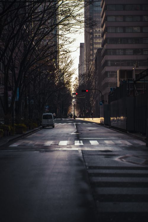Free A serene and atmospheric view of a quiet Tokyo street during sunset, featuring skyscrapers and a traffic light. Stock Photo