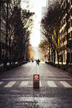 A serene urban street scene in Tokyo, Japan, showcasing autumn trees and a crosswalk.