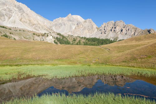 çayır, çim, dağlar içeren Ücretsiz stok fotoğraf