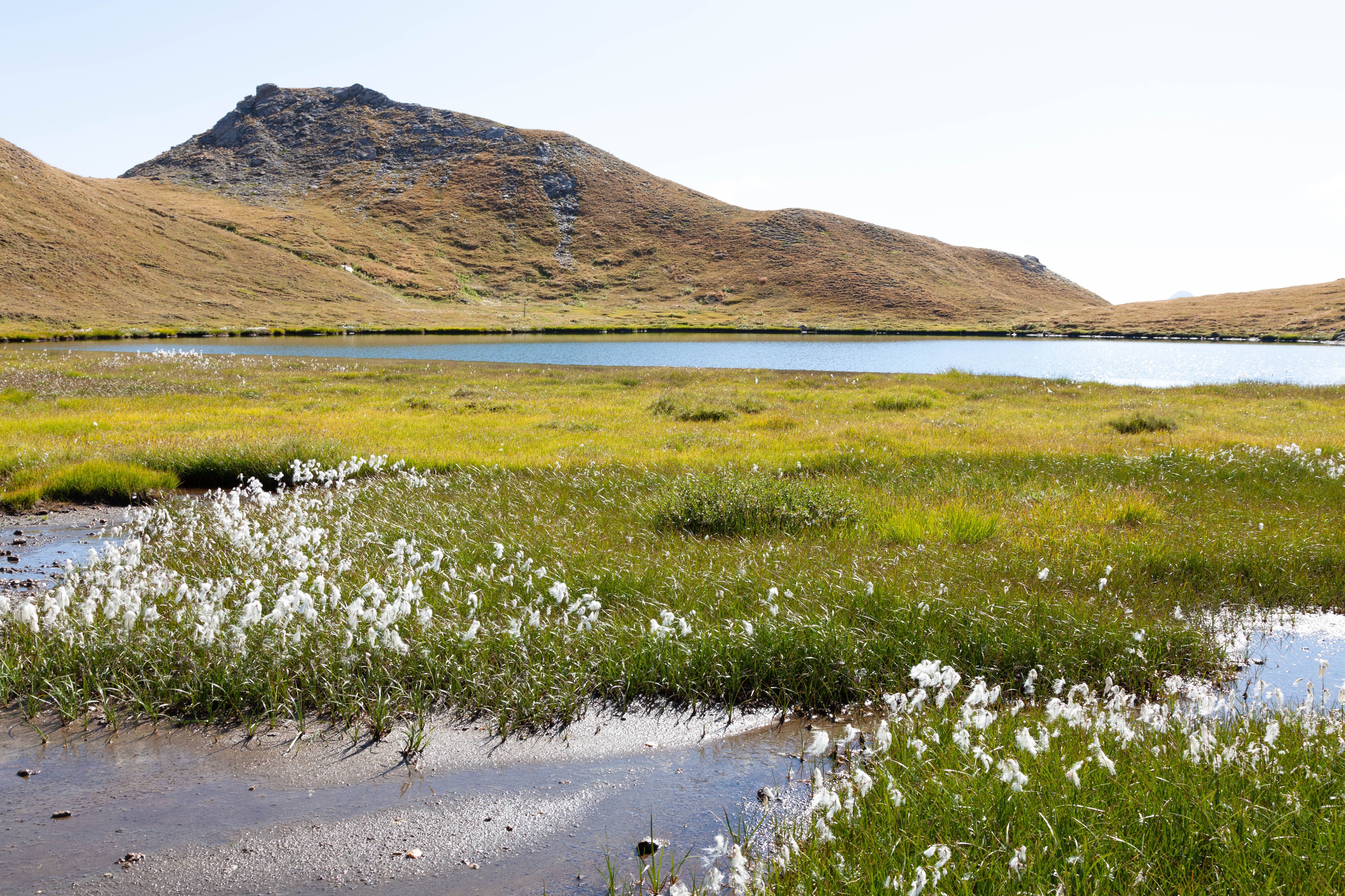 Lac Blanc, Aiguilles Rouges Nature Reserve