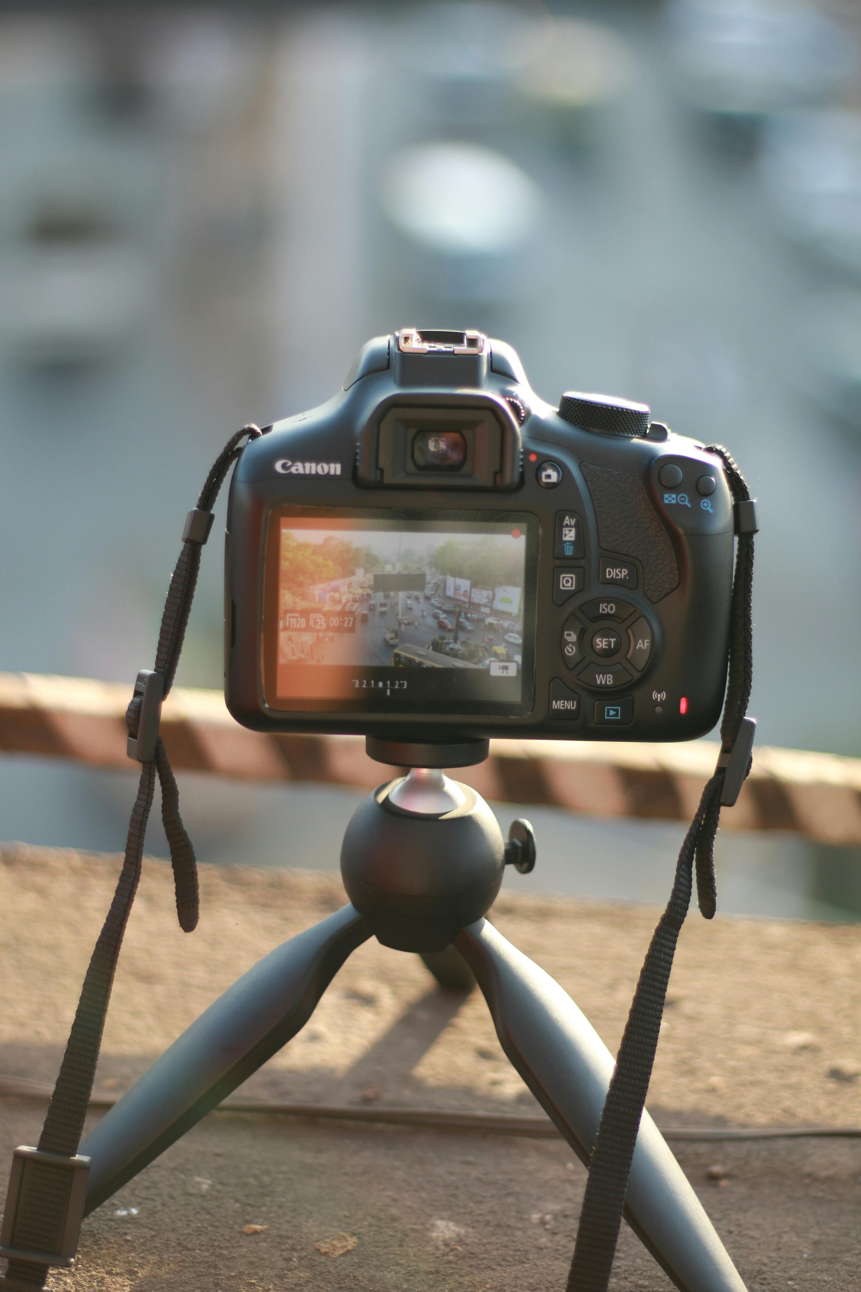 Free Adobe Stock 3d Models