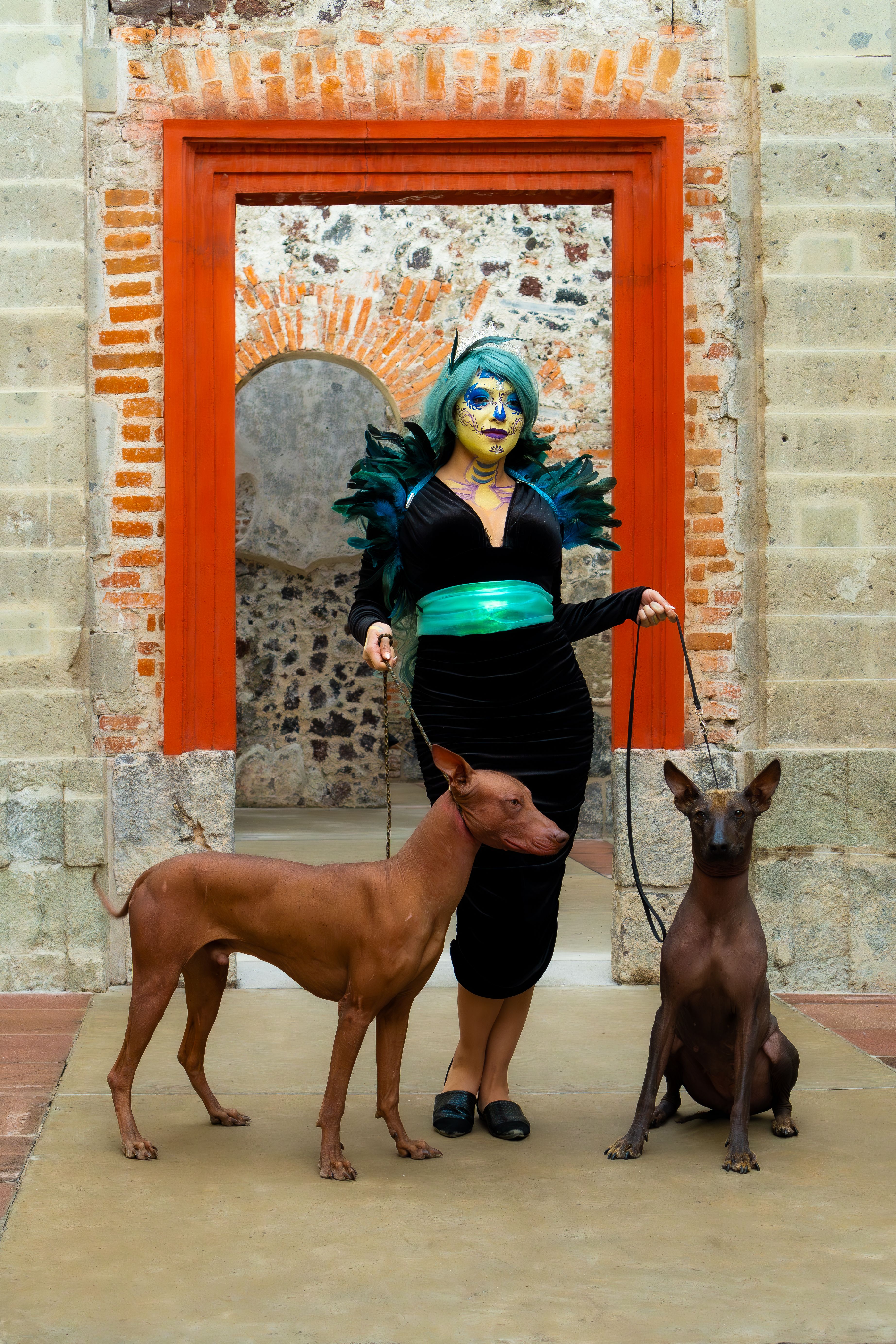 Vibrant Catrina costume with Xoloitzcuintli dogs in a traditional Mexican setting.