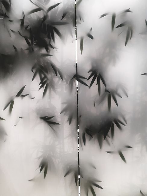 Abstract image of bamboo leaves obscured by frosted glass creating a serene and mysterious ambiance.