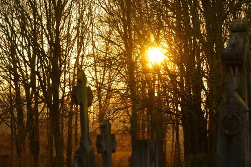 Free Sunset through leafless trees in an autumn cemetery casting golden light on tombstones. Stock Photo