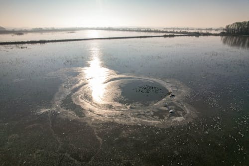 Sunlit Lake on Swamp