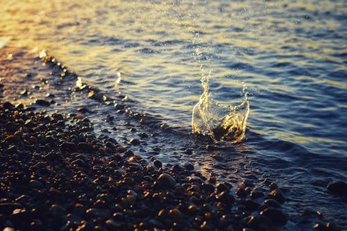 물, 물을 튀기는, 바다의 무료 스톡 사진