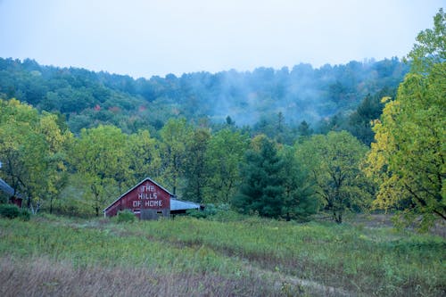 Foto profissional grátis de árvores, campo, cenário