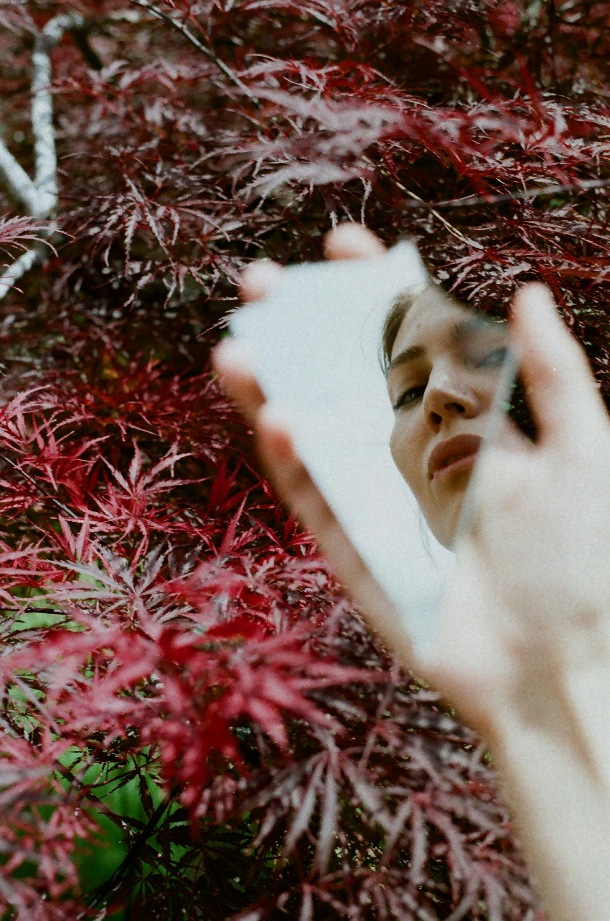 A woman's reflection in a broken mirror surrounded by vibrant red leaves, creating an artistic and abstract composition.