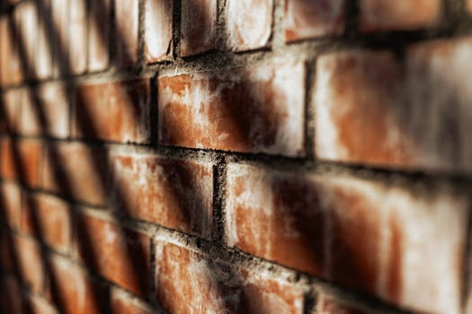 Close-up of a sunlit brick wall highlighting rough texture and shadows.