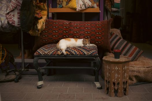 A tranquil scene of a cat sleeping on a traditional ottoman in an Istanbul flea market.