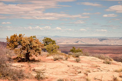 Arid Canyon Landscape