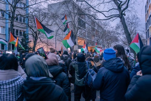 Základová fotografie zdarma na téma demokratický, demonstrace, lidé