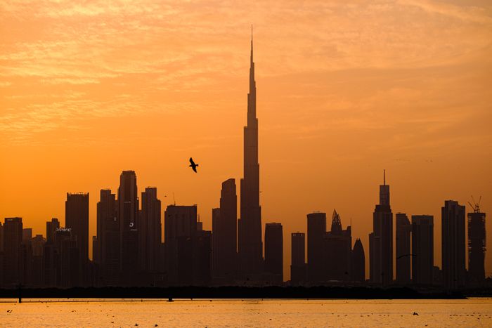 Dubai experience