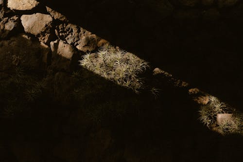 Sunlit Line on Stone Wall in Shadows