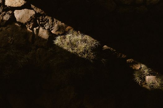 A captivating view of rocks and grass illuminated by sunrays, creating dramatic shadows.
