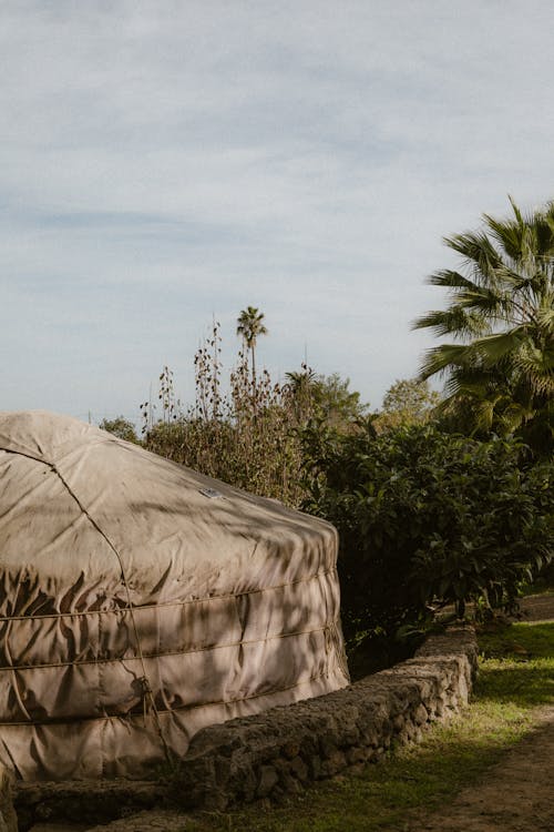 Foto d'estoc gratuïta de acampant, arbres, carpa