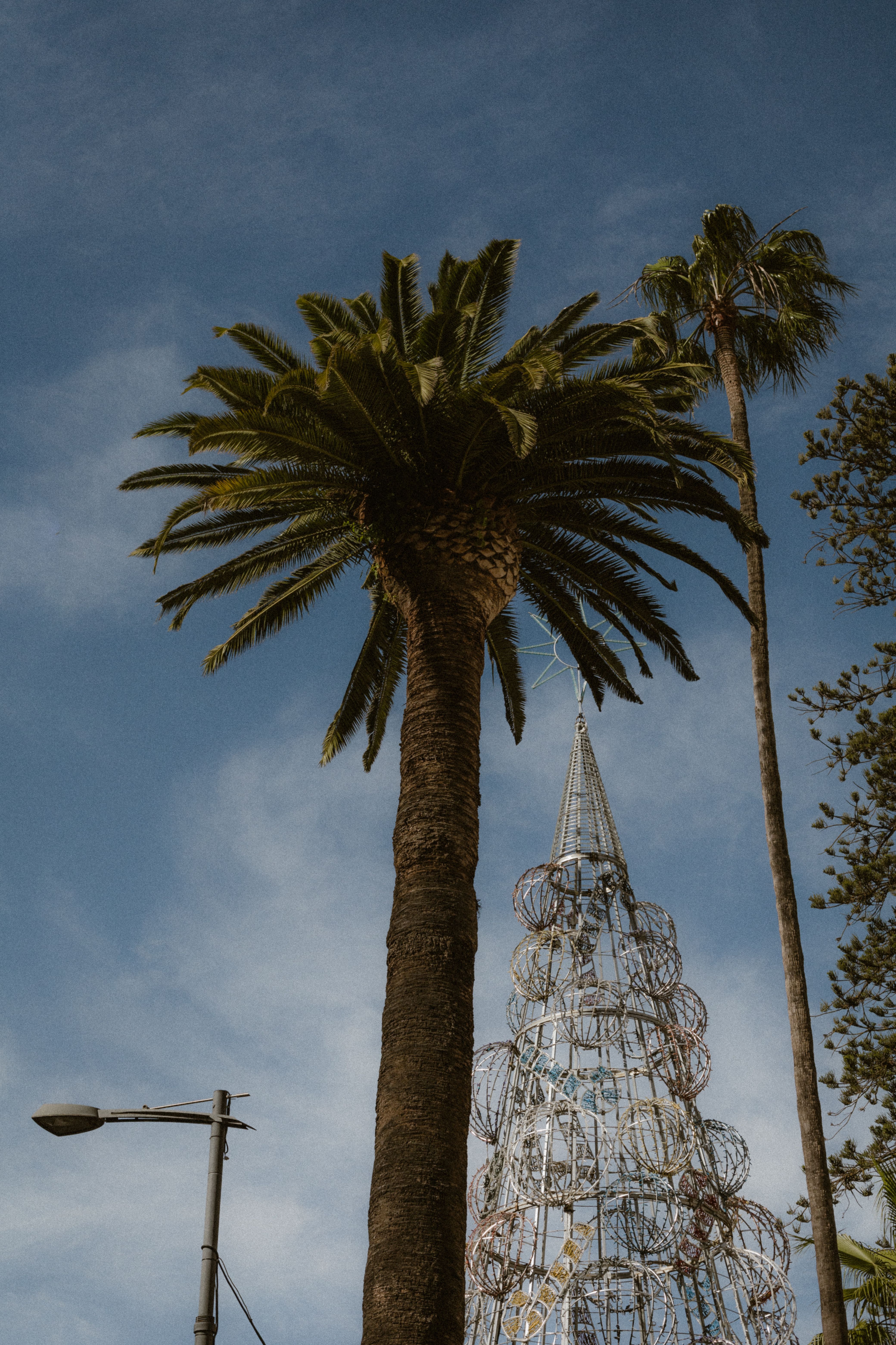 Palm Trees and Christmas Tree Installation behind · Free Stock Photo