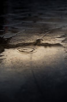 Close-up of water ripples in a rain puddle on an urban pavement, highlighting texture and reflection.