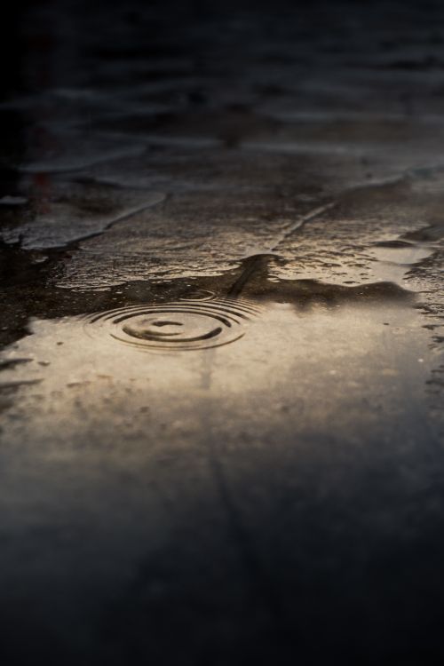 Free Close-up of water ripples in a rain puddle on an urban pavement, highlighting texture and reflection. Stock Photo