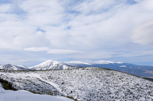 Безкоштовне стокове фото на тему «білий, гори, застуда»