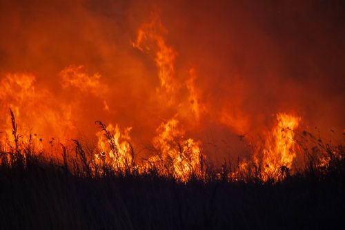 Free Dramatic scene of a fierce grassland fire blazing at night, showcasing vibrant flames and heat. Stock Photo