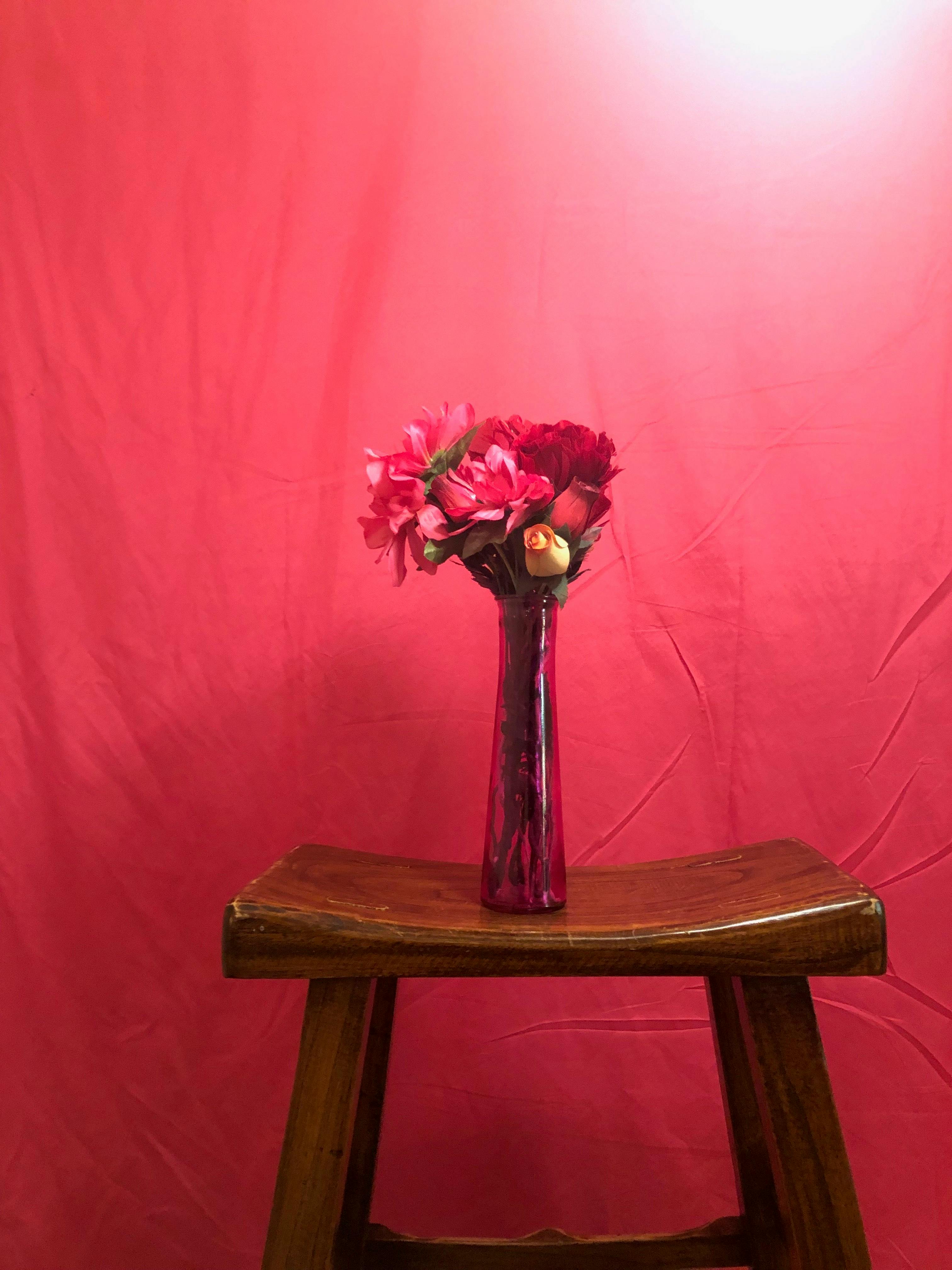 かわいい花 きれいな花 スタジオライトの無料の写真素材